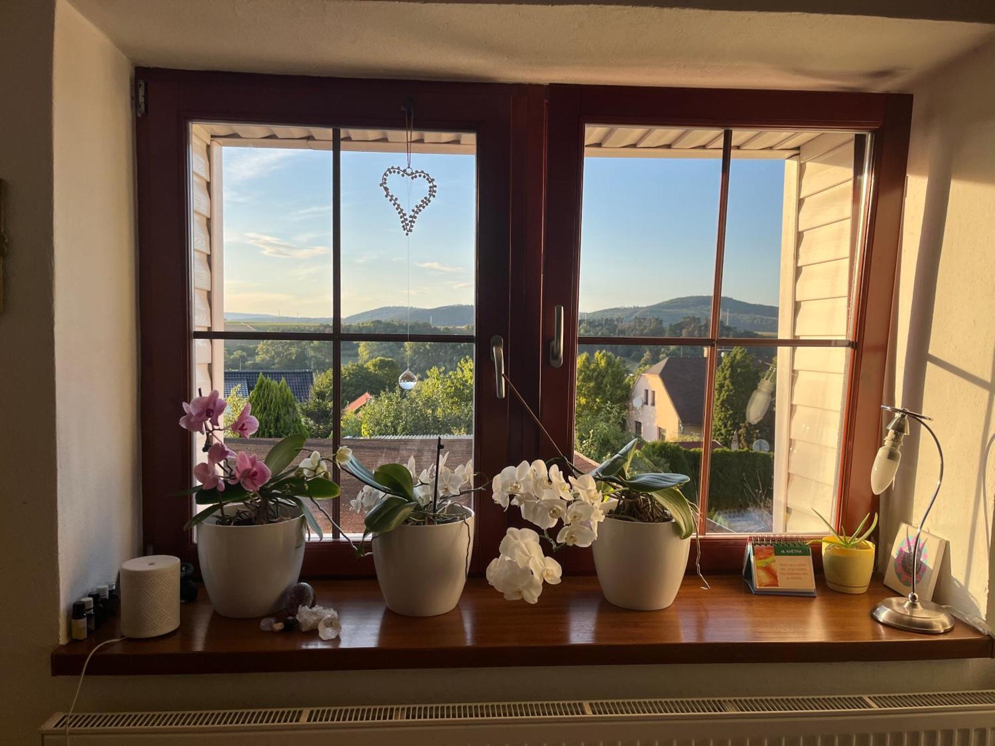 Vila Cat'S House- Dum U Trech Kocek Zdice Exteriér fotografie